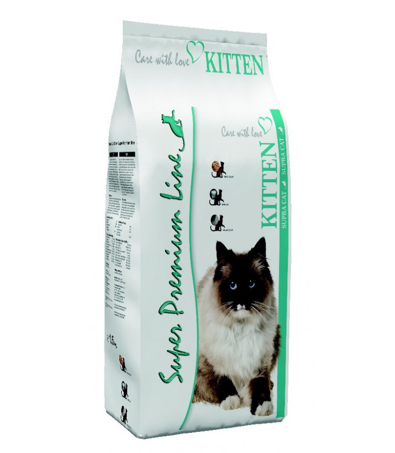 SUPRA Cat Kitten 1 SUPRA Cat Kitten 1